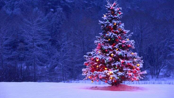 Christmas Party 2024